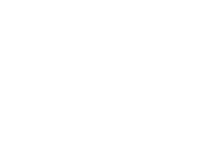 Logo-Reitnouer_1200x840
